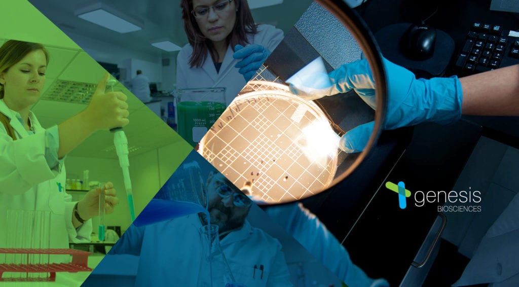 Through the scientific lens: a closer look at our UK & US industry-leading experts